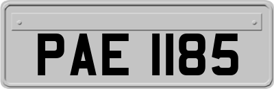 PAE1185