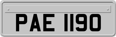 PAE1190