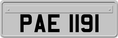 PAE1191