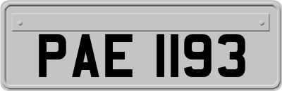 PAE1193
