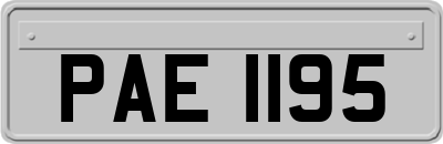 PAE1195