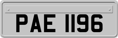 PAE1196