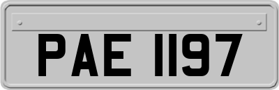 PAE1197