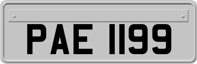 PAE1199
