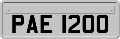 PAE1200