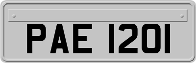 PAE1201