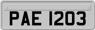 PAE1203