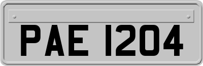 PAE1204