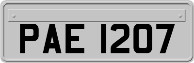 PAE1207