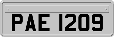 PAE1209