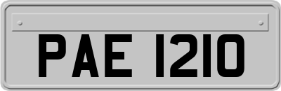 PAE1210