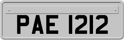 PAE1212