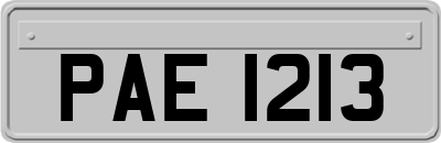 PAE1213