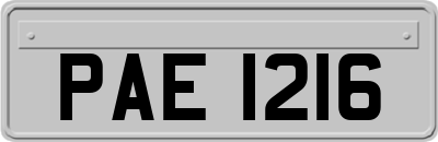 PAE1216