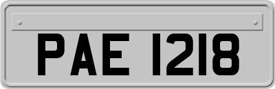 PAE1218
