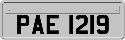 PAE1219