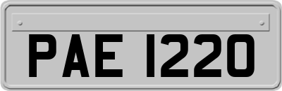 PAE1220