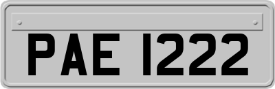 PAE1222