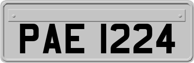 PAE1224