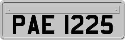 PAE1225