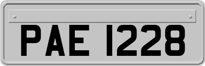 PAE1228