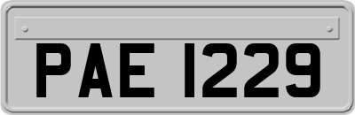 PAE1229
