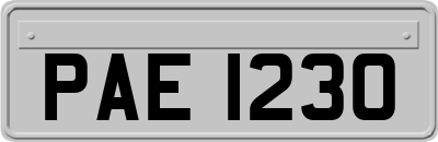 PAE1230