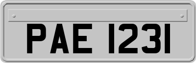 PAE1231