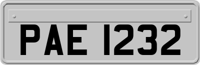 PAE1232