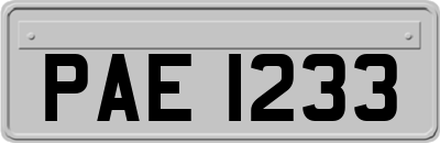 PAE1233