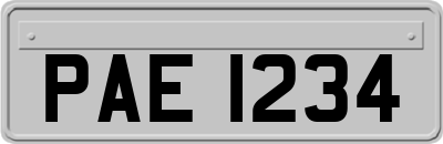 PAE1234