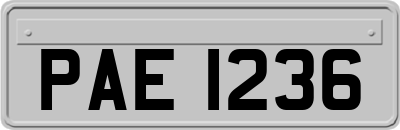 PAE1236
