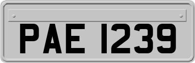 PAE1239