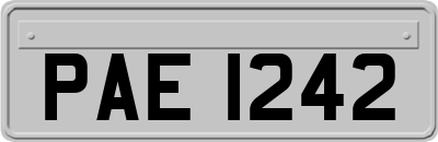PAE1242