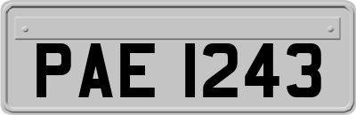 PAE1243