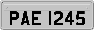 PAE1245
