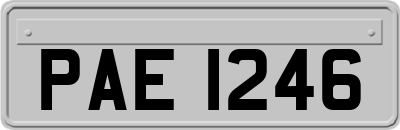 PAE1246