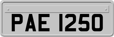 PAE1250