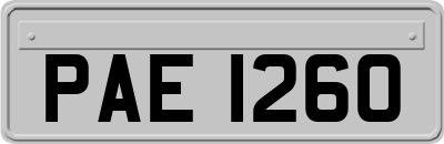 PAE1260