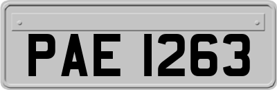 PAE1263