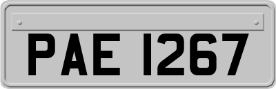 PAE1267