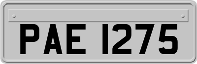 PAE1275
