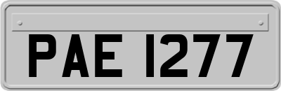 PAE1277