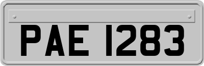 PAE1283