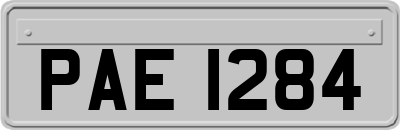 PAE1284