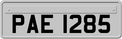 PAE1285