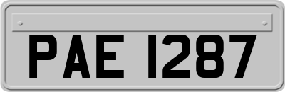PAE1287