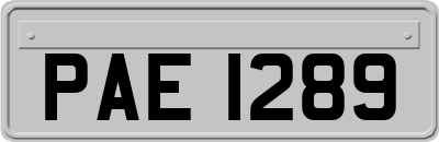 PAE1289