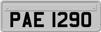 PAE1290