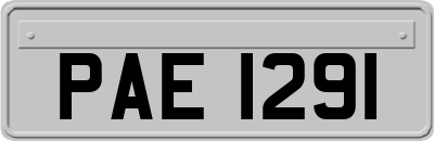 PAE1291